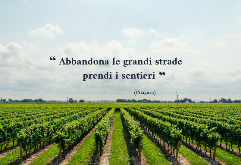 La strada del vino Cesanese