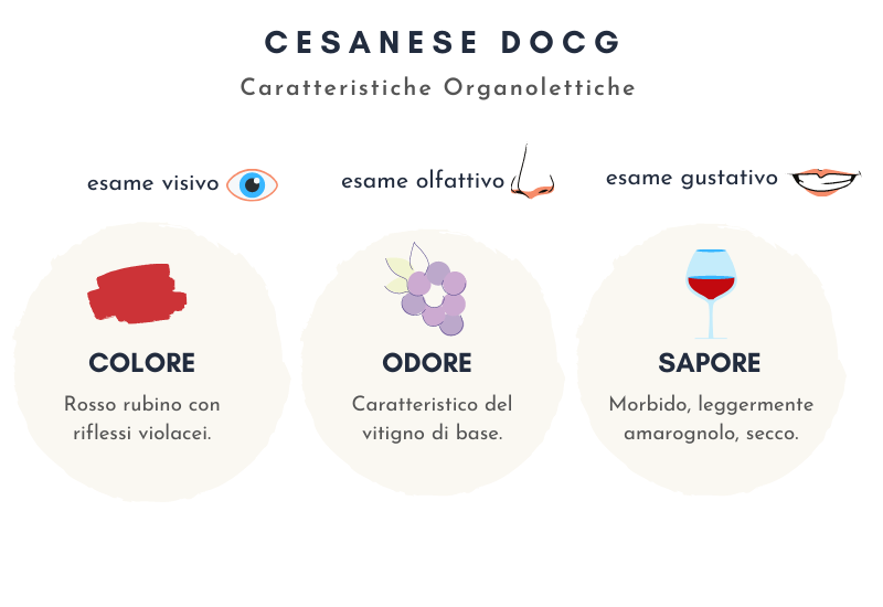 Le caratteristiche organolettiche del Cesanese del Piglio DOCG