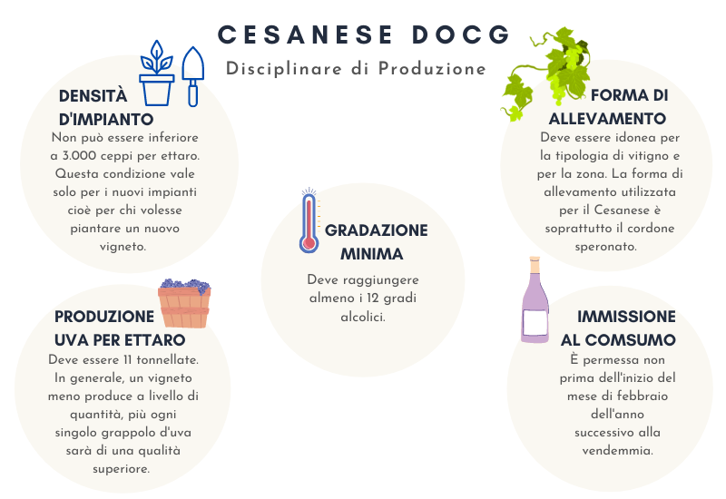 Il disciplinare di produzione Cesanese del Piglio DOCG